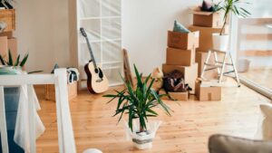 Når du flytter: Brug Simple Life-metoden til at få en ny start, uden unødvendigt rod